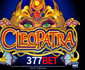 A Experiência Imersiva dos Cassinos Ao Vivo no 377bet
